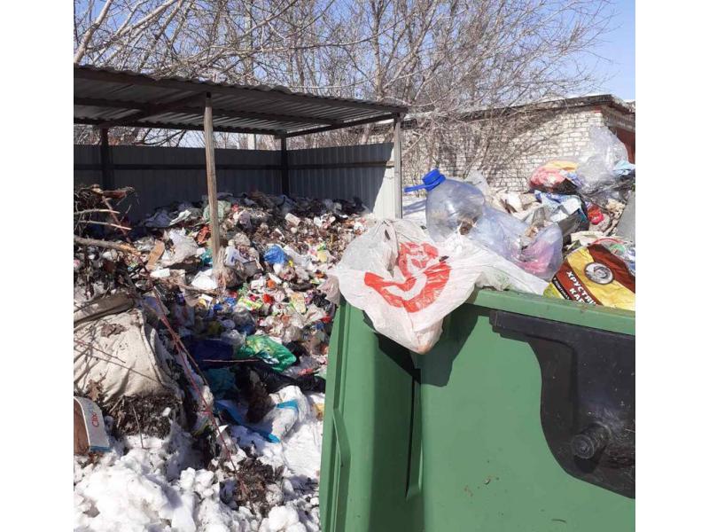 «Никогда такого не было»: мусорный регоператор обвинил морозы и власти в безобразии на контейнерных площадках