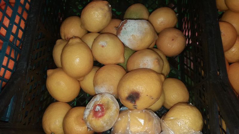 Заплесневелые лимоны за «сумасшедшие» деньги - и ноль возмущения со стороны покупателей
