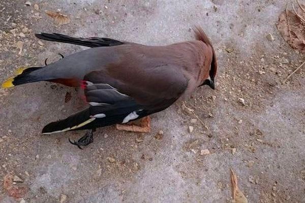 �� � ���� ������ �� ��������: ������� ��������� ������� ����������, ��� ������ � �������� �� ������� ������������