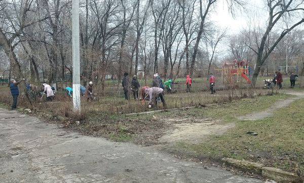 Не остановили ни рабочий день, ни погода: в Тимирязевском парке собрали и вывезли мусор и прошлогоднюю листву