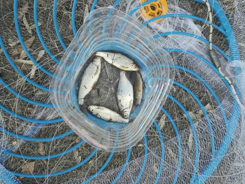 На Усе полиция поймала рыбаков с сетями: что им грозит