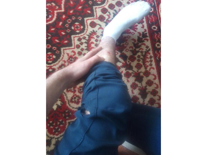 ������������ ����� ������ ������ �������