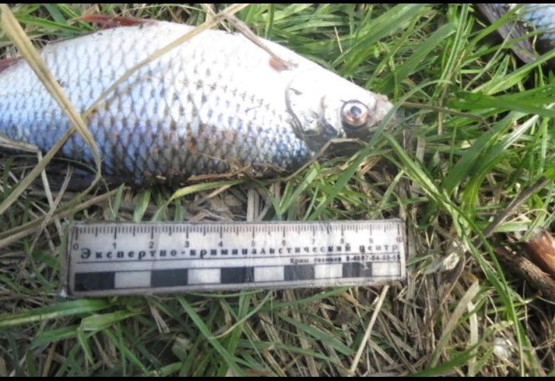 � ������ ���� ������ ������� ������� ���������� ������ � ���������� ���������: ��� ��� ������ ����