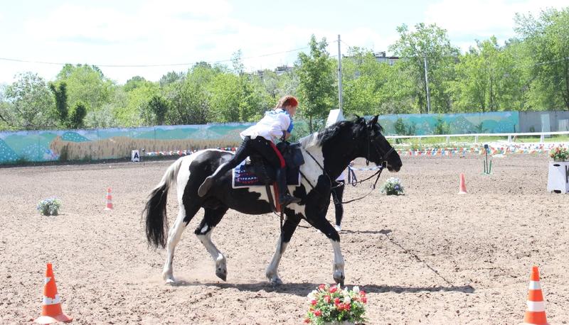 Конкур, акробатику, владение оружием во время скачки увидели зрители областных соревнований по конному спорту в Сызрани