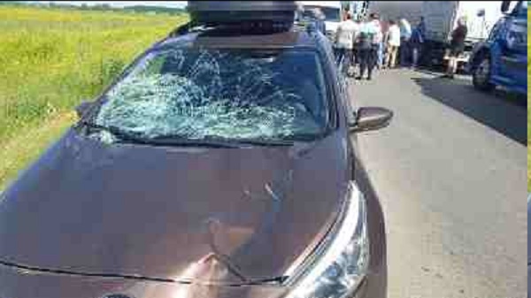 � ���� ����� �������� � �������� �������� ����� ���� 13-������ ������� - ��������� � �������� ���������� � ��������