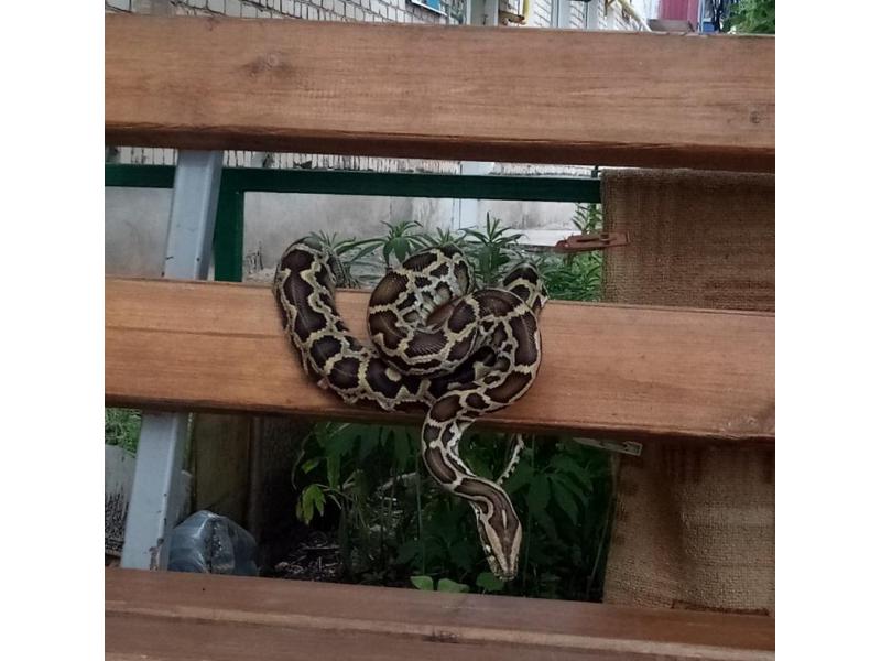 ���� � ������ �������? �� �������� � ��������� ������� ������������ �������� ������: �����