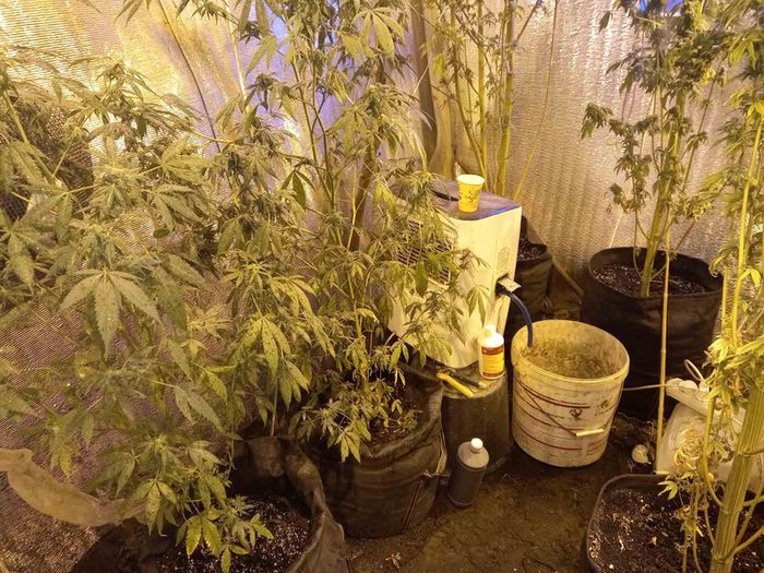 � �������� ������ �������� ����������� ���������� �������������� - �������� ������� ��������� ��� ���������� �����������