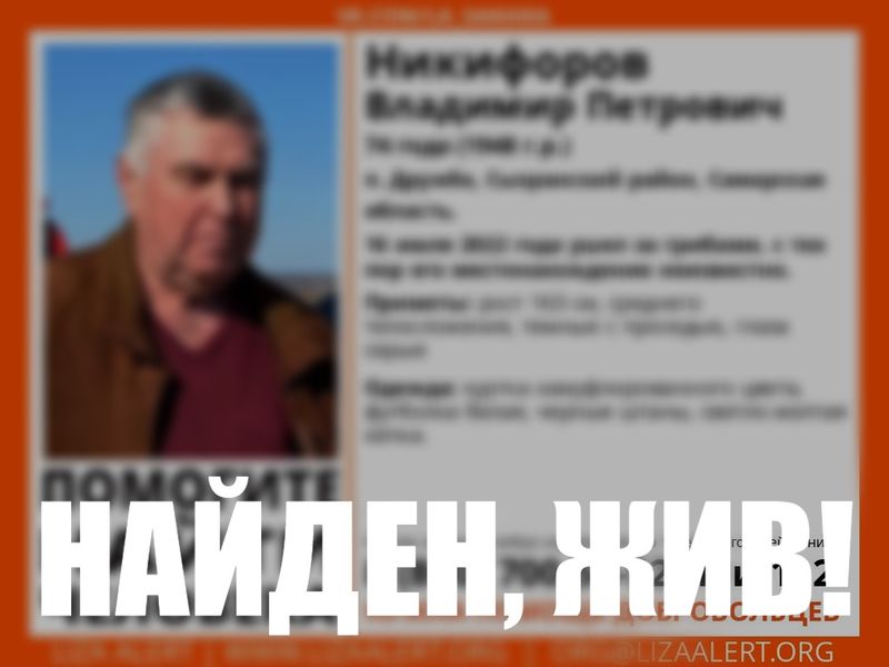 Пропавший грибник найден - поисковики на рассвете разъехались по домам