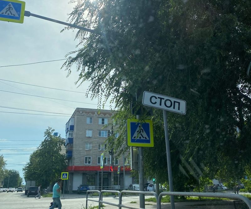 Недалеко и до трагедии: на Хвалынской из-за веток не видно пешеходов, на Ульяновской - светофора