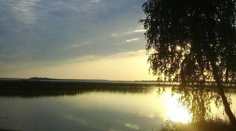 ��������� �� ����������: ������ �������� ��� ���������� ���� ���� �� ������������ � ��������