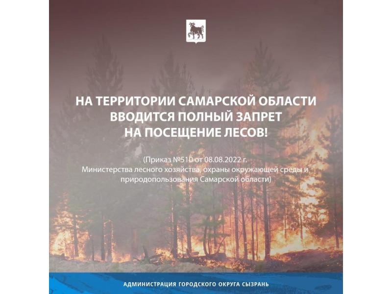 Полный запрет на посещение лесов введен в Самарской области