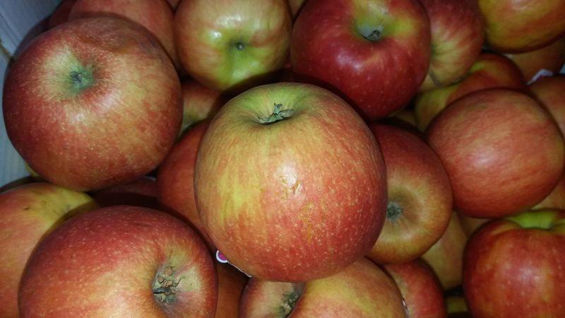 Яблочный спас: главные особенности и запреты одного из любимых в народе праздников