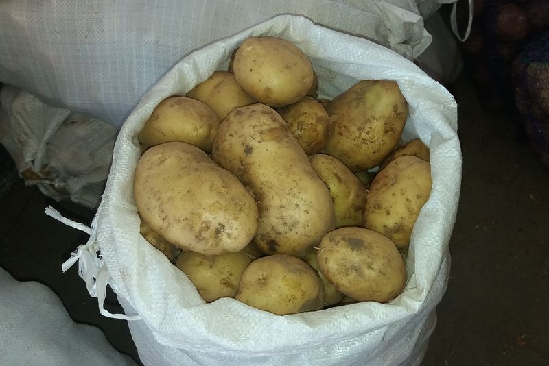 На любой цвет, вкус и кошелек: картофель в Сызрани поражает разнообразием и ценами