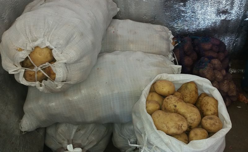 Торговцы сдались и снизили цену: почем нынче картошка на рынке