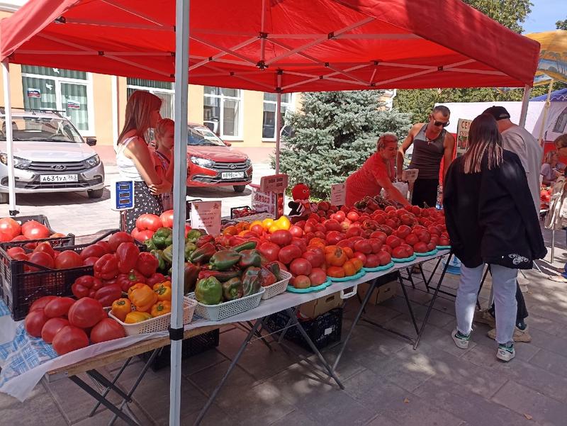 Город готов к празднику «Сызранский помидор»: смотрим, что сейчас происходит на площади Ленина