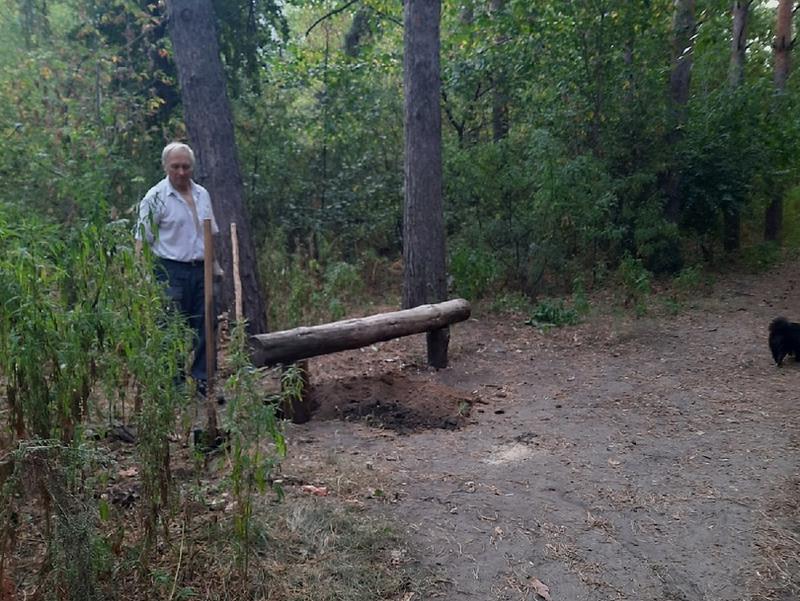 ������� � �������� ����, ������ �������: ������ ������� �� ���� ������������� ��������� � ���� �������