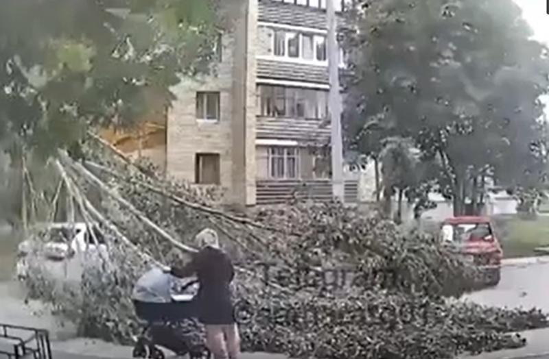 ������� ������ ������� � �������� ������� �� ������� ������