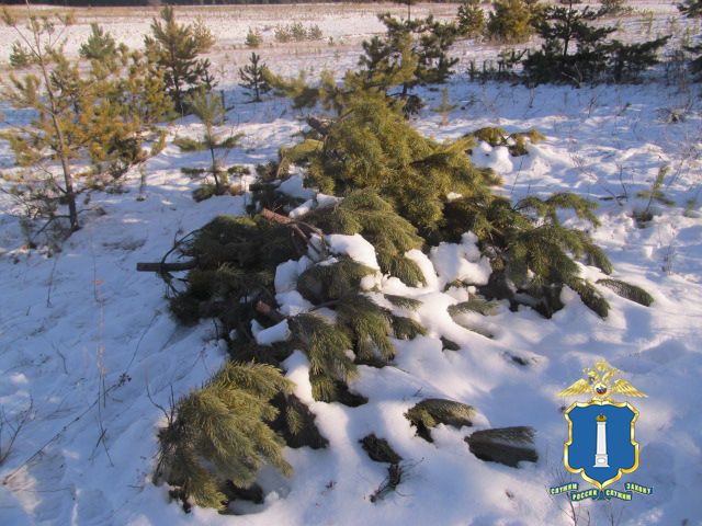 � ���� ��� �������� ������� ������� ���������� ����, � ������ ����� ������� ��� ��������� ������