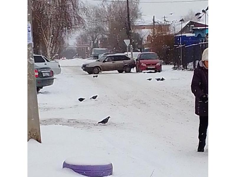 �������� � ������ ������ �������� ������ �� ������ ����� ������������������ ���������