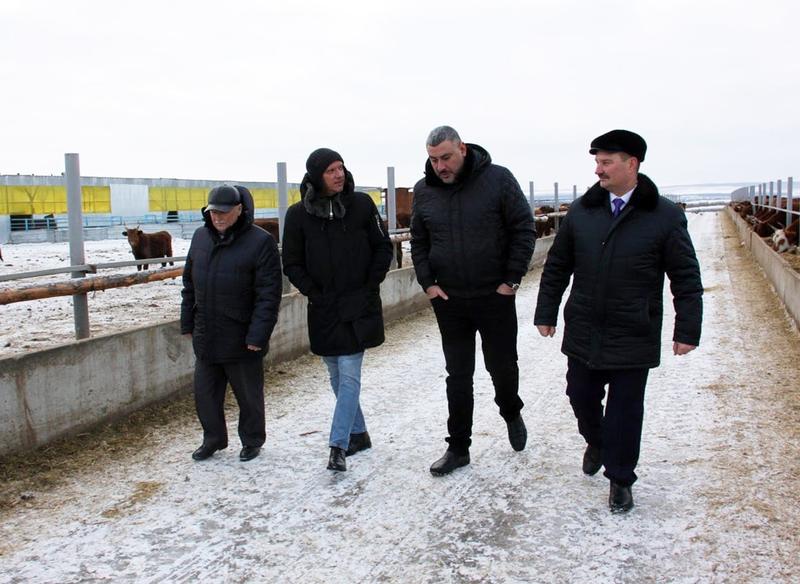 ��� ������ � ��������� �����, ��������������� �� ���������� ������ ������ ��� ������ ���������� 10-������ ���� � ������������� � ���� ���