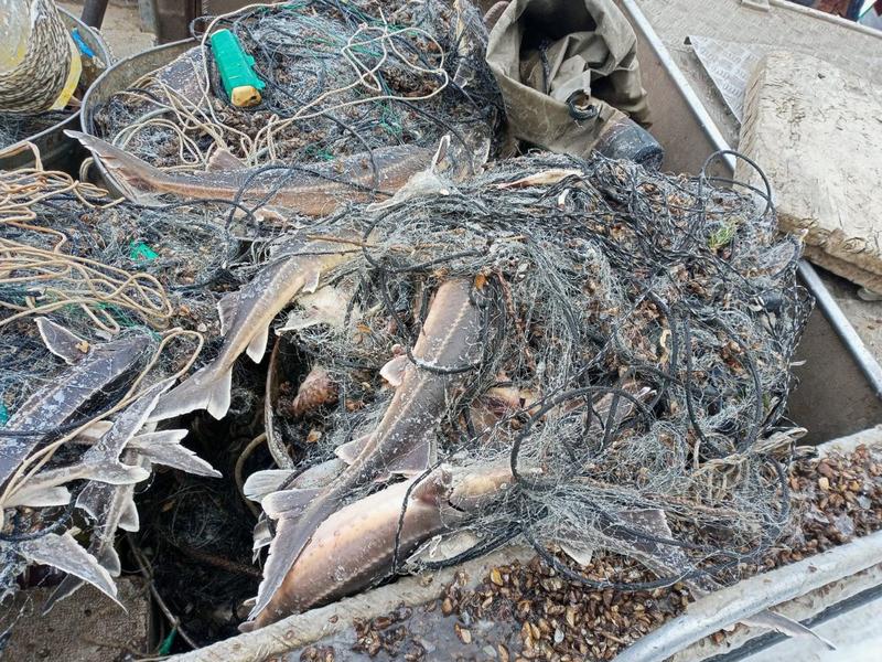 � ��������� ������� �������� ��������� � ������� ������ ��������: ����� �������� ����� �� 2 ��� ������