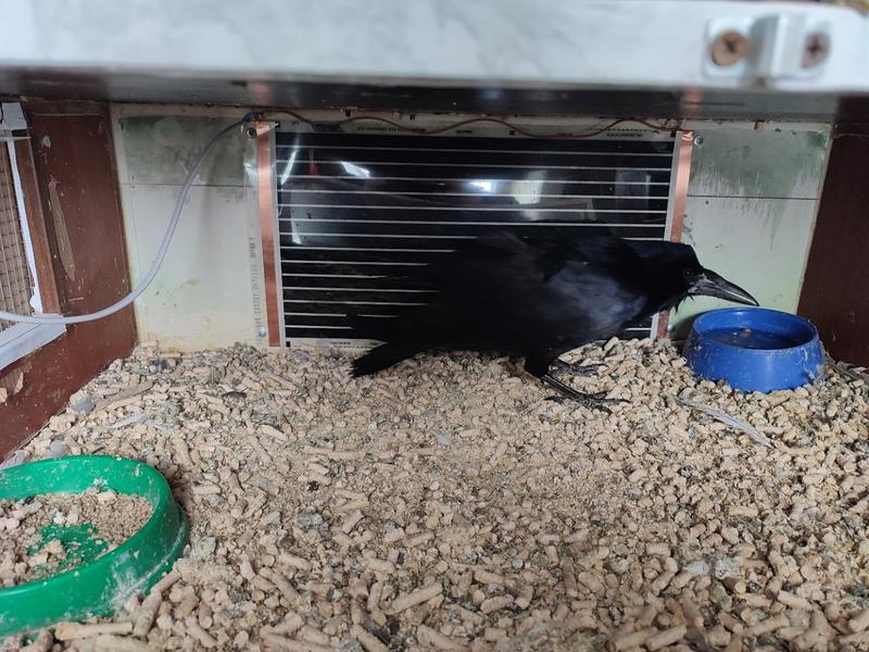 ������� ����� � ������� ������������� �� ���� ������, ������� �������� ������ �� ���� �����