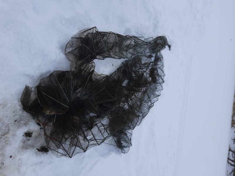 ��������� �� ��������������� ������� ������ ����� �� ����������, ������������� ���������� ��������