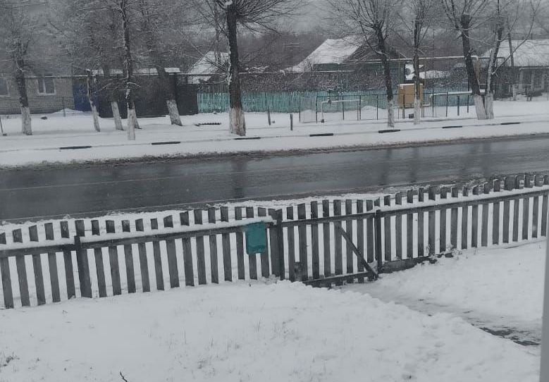 Сперва полетели белые мухи: в ближайшие часы Сызрань может засыпать толстым слоем снега