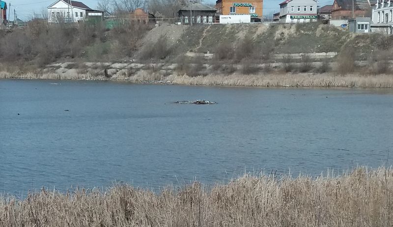 Луночкин а в волгу