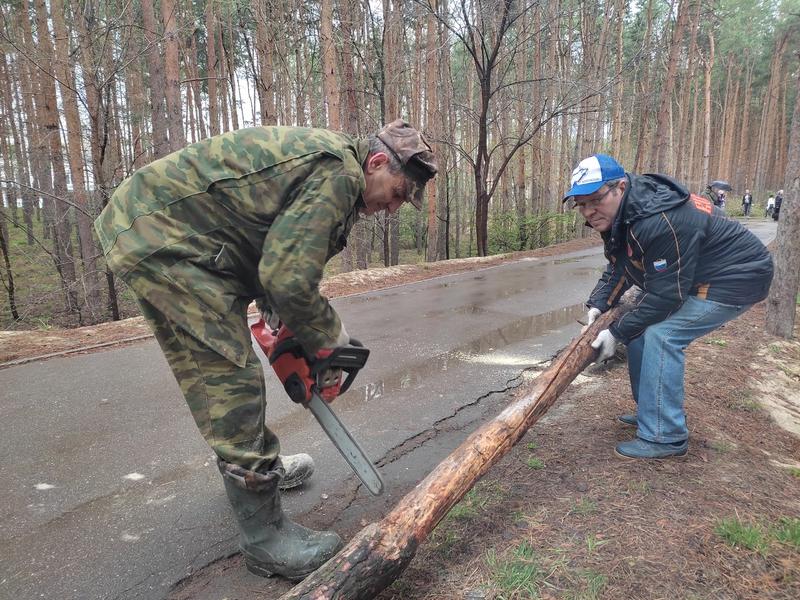 С бензопилой и бревном: на уборку в городе вышли руководители Сызрани