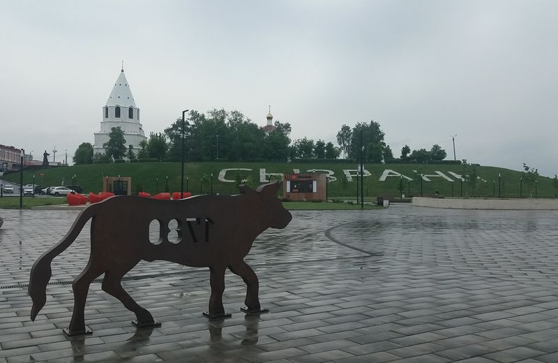 Время «покрасило» сызранского быка, но горожане упорно пытаются его испортить