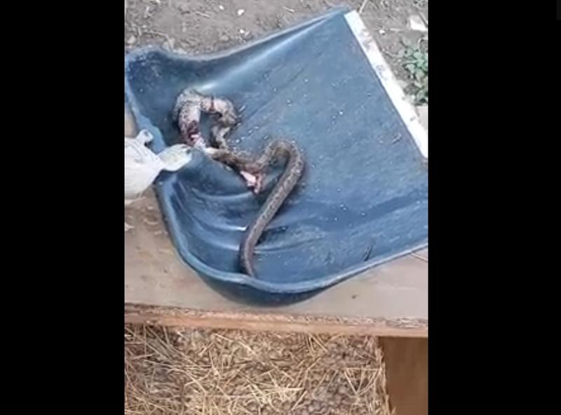 ����������� ���� �� �������� �������� � ����� ������� � ����������� �� ���