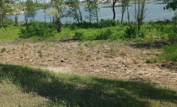 Отдыхающим на Монастырской набережной берег Сызранки портит все настроение