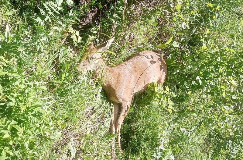 � ��������� ������ ������� ������� ������: ����� ���� �� ���������, ��� ���-�� ��������� �� �����