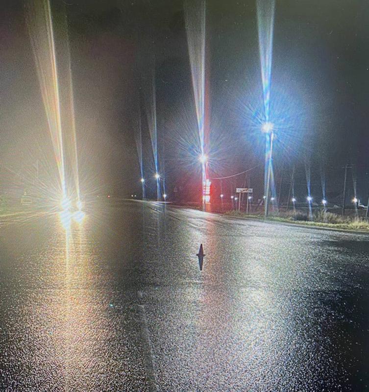 �������� ����������� �������� � ���������� ���������� ������� �������� � ������ ���� ������� �����