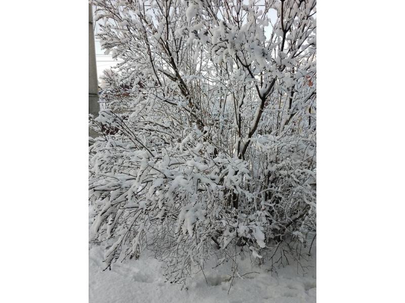 ��� ��� ��� ������� �����, ��� ������� �� � ���, �� � �����: ������ �� ���� ����� �������� ������