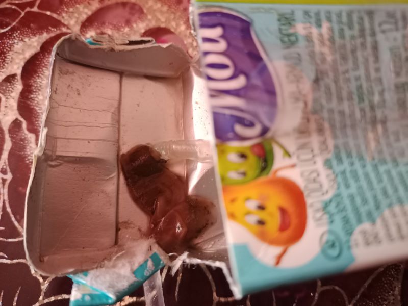 Придя домой из магазина, жительница Сызрани обнаружила в коробке с детским соком слизь, похожую на плесень