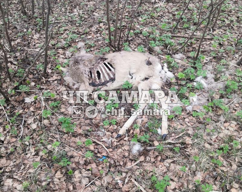 ���� ��� ������? ����� �������: ����� � ������ ���������� �� ������������� ����� ������