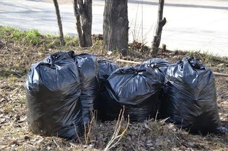 Мусор после субботников в Сызрани пока останется лежать на своих местах - в комитете ЖКХ пояснили, почему и надолго ли