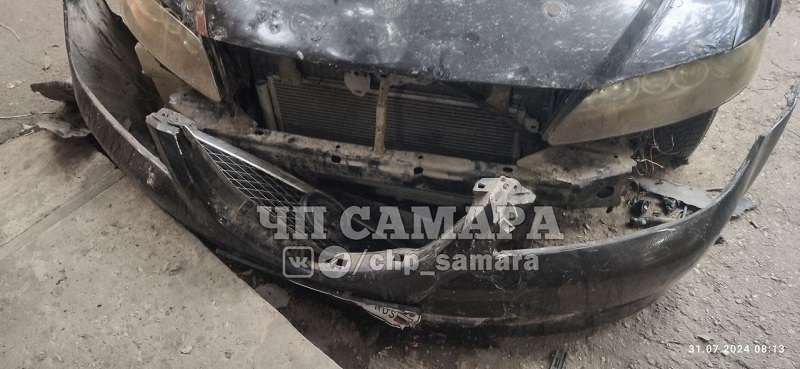 Стая бродячих собак раскурочила автомобиль - самарские четвероногие вандалы попали на камеру