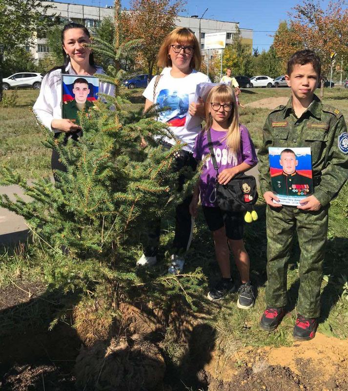 В Самарской области была высажена Аллея памяти Героев СВО