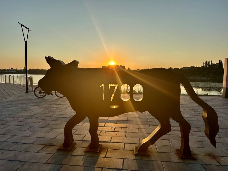 Ровно 5 лет назад на набережной Сызрани появился стальной бык