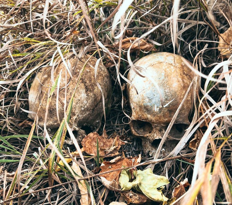 Жуткая «достопримечательность» с человеческими костями обнаружена под Сызранью