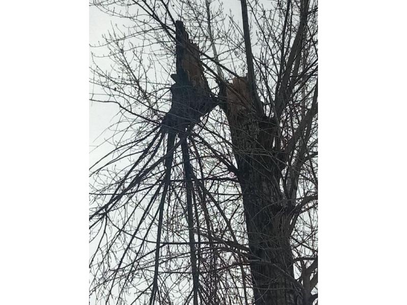 Над домом в Сызрани нависла опасность - в буквальном смысле нависла