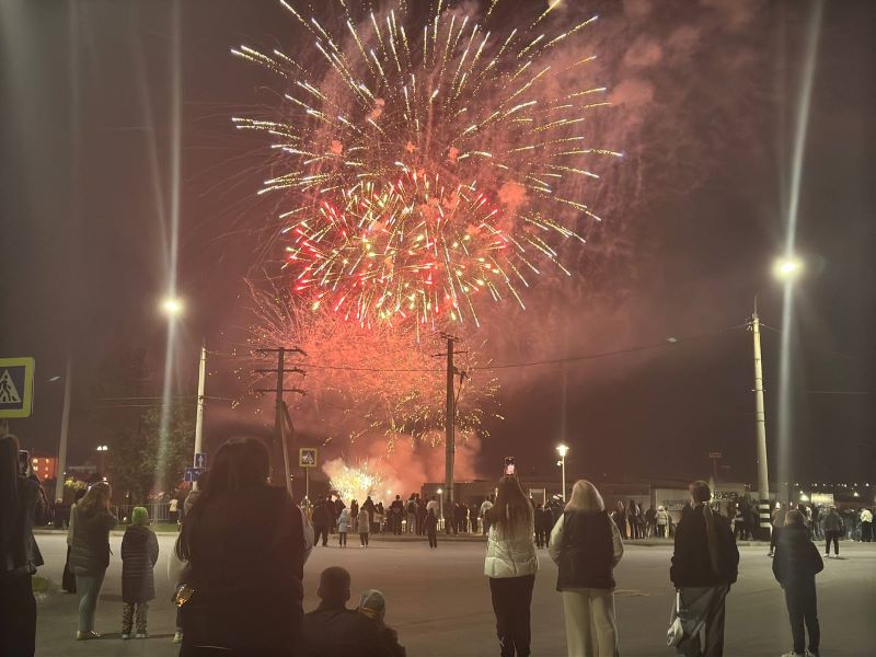 За пять дней до Нового года в Сызрани введут особый противопожарный режим