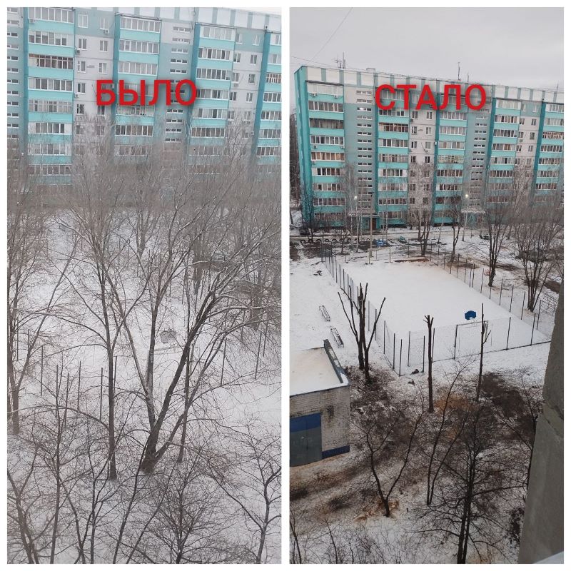 Обращение дало результаты: жители Монгоры выглянули в окно и обомлели