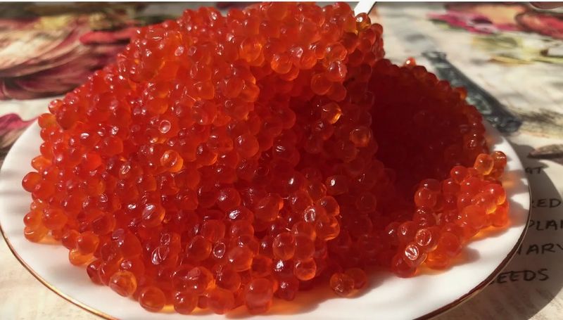 � ��������� ������� ���� ��������� ����-�������� - ��  ������ ������ � ��� �� � �������