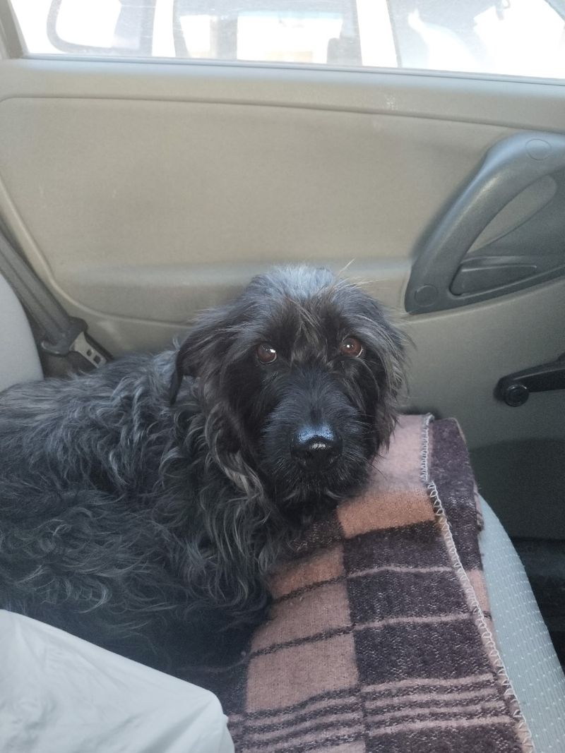 ������� ������� ��������� � ���� ������������� �� ���������� ����������