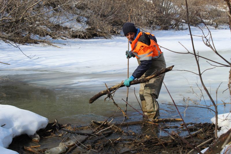 Работящие «инженеры в шубе» каждый день строят плотину в Сызрани