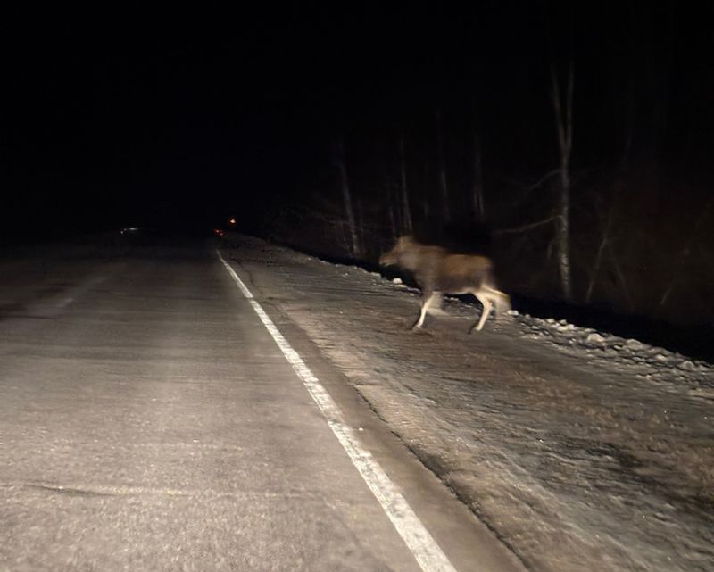 ��� �������� ����� ����� �� ������ � 50 ������ �� ���������� ����������